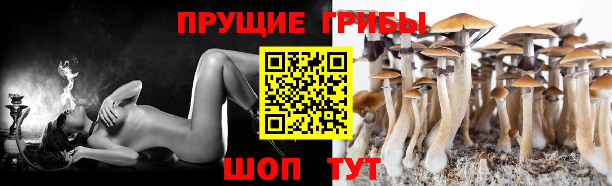 Псилоцибиновые грибы Cubensis  Вход с VPN  Верхняя Салда 
